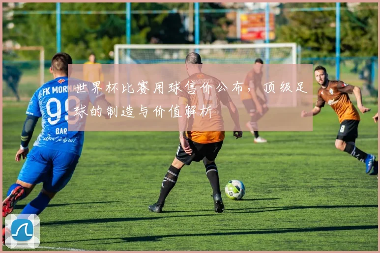 世界杯比赛用球售价公布，顶级足球的制造与价值解析